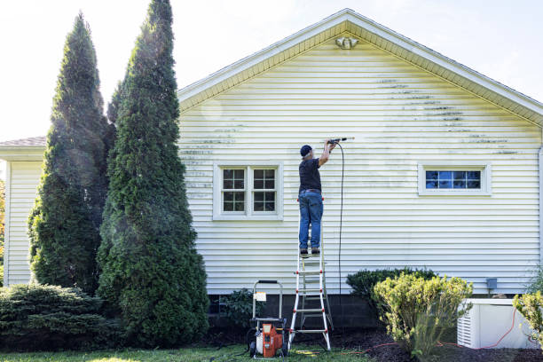 Best Building Exterior Washing  in Parkwood, WA